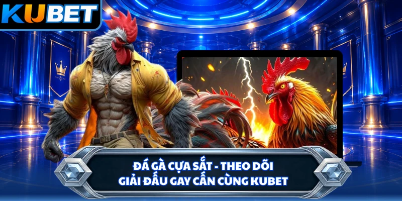 Đá Gà Cựa Sắt - Theo Dõi Giải Đấu Gay Cấn Cùng KUBET
